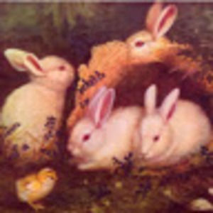 Meet your Posher, Gisela